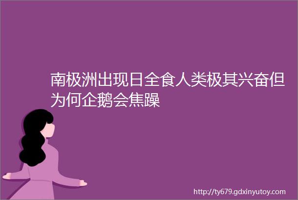 南极洲出现日全食人类极其兴奋但为何企鹅会焦躁